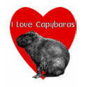 I Love Capybaras Women's Basic Tee t-shirts