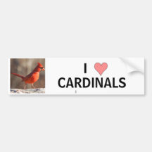 I Love Cardinals - bumper sticker