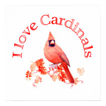 I Love Cardinals posters by TLArnold I Love Cardinals posters