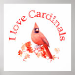 I Love Cardinals posters