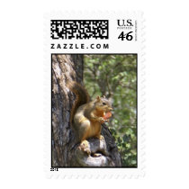 I Love Carrots postage