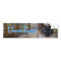 I Love Cats Bumper Sticker bumper stickers
