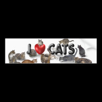 I love Cats bumper stickers