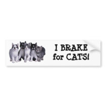I love Cats from Junglewalk.com bumper stickers