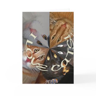 I Love Cats Greeting Card card