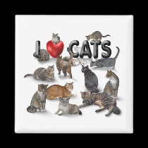 I love Cats magnets