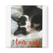 I Love Cats Magnet