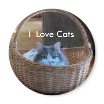 I  Love Cats magnets