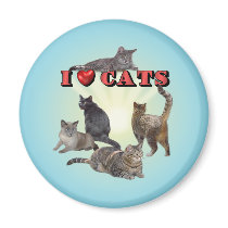 I love Cats Fridge Magnets