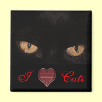 I love cats Magnet