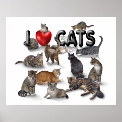 I love Cats Posters