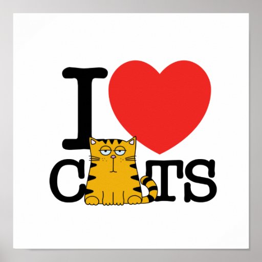 I Love Cats Poster Zazzle