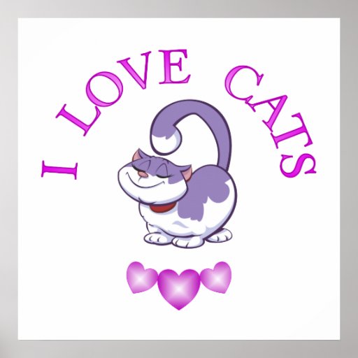 I Love Cats Poster Zazzle