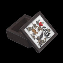 I love Cats premium gift boxes