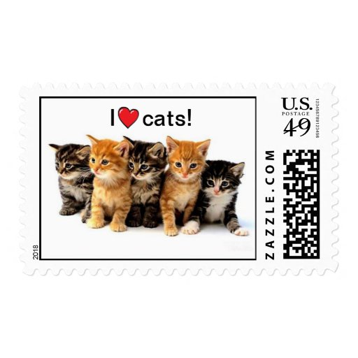 I love cats stamp | Zazzle