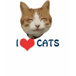 I Love Cats t-shirts