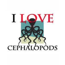 I Love Cephalopods t-shirts