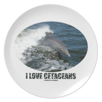 I Love Cetaceans (Bottlenose Dolphin Breaching) Plate