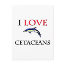 I Love Cetaceans postcards