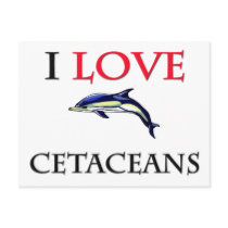 I Love Cetaceans postcards