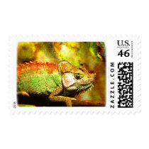 i love chameleons Digital art postage