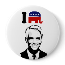 I Love Charlie Crist Pins