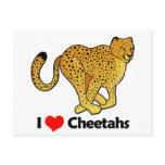 I Love Cheetahs Post Card