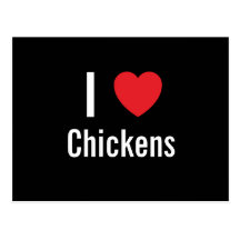 I love Chickens Post Cards