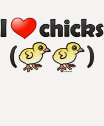 I Love Chicks (birds) Ladies Raglan Fitted T-Shirt