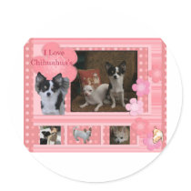 I love Chihuahuas Round Sticker