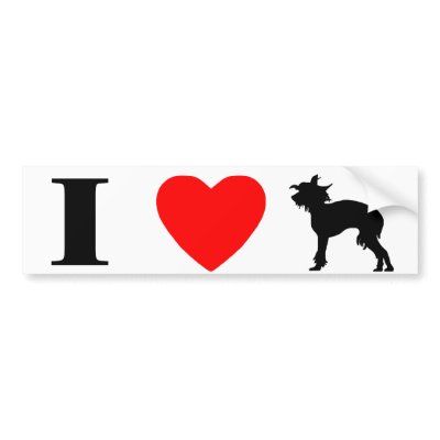 I Love Chinese Cresteds Bumper Sticker by MenagerieMayhem