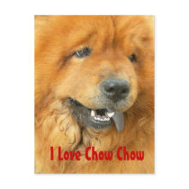I Love Chow Chow postcards