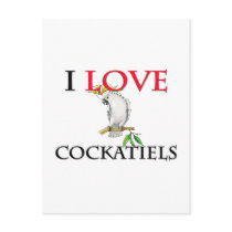 I Love Cockatiels postcards