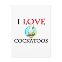 I Love Cockatoos postcards by tshirtshirts I Love Cockatoos postcards