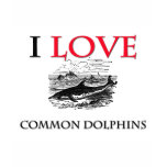 I Love Common Dolphins