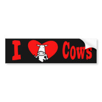 I Love Cows bumper stickers