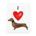 I Love Dachshunds postcard