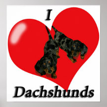I Love Dachshunds Poster