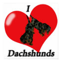 I Love Dachshunds posters