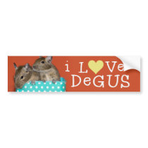 I Love Degus Bumper Sticker