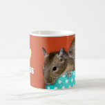 I Love Degus Mug mugs