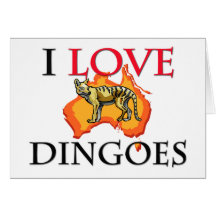 I Love Dingoes Card