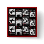 I Love Dogs Button