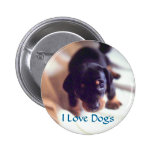 I Love Dogs button