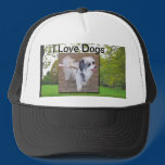 I Love Dogs Hat