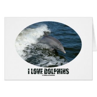 I Love Dolphins (Bottlenose Dolphin Breaching) Cards
