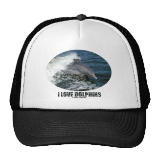 I Love Dolphins (Bottlenose Dolphin Breaching) Mesh Hats