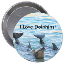 I Love Dolphins! Dolphin Photo Pinback Buttons