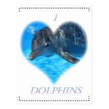 i love dolphins postcards