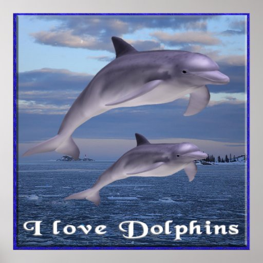 I Love Dolphins Poster 